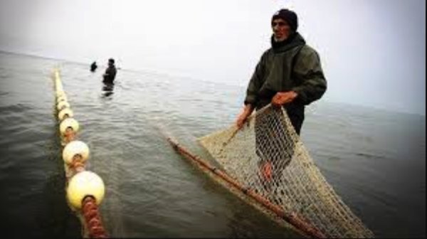 ايران در رتبه دوم صيد ماهی در اقيانوس هند