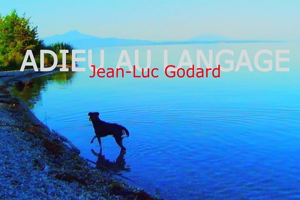 فیلم ژان لوک گدار بهترین فیلم سال منتقدان آمریکا شد
