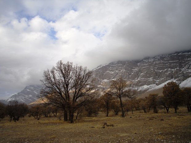 پارک ملی دنا