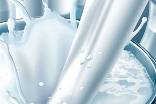 تولید شیر خام
