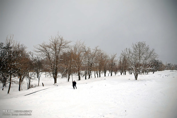 بارش برف در همدان