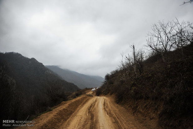 مخالفت فراکسیون محیط زیست مجلس با احداث جاده در جنگل ابر