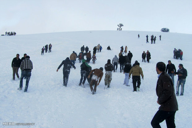 بارش برف زمستانی در منطقۀ گردشگری چالچالیان شاهرود