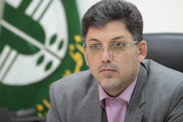 محمود علی رکنی