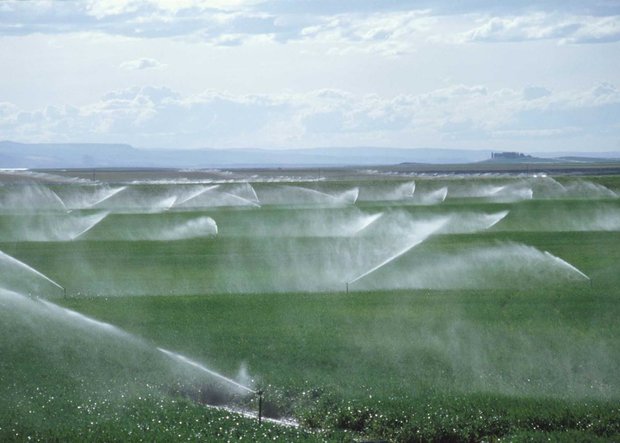 آب چالش اول کشاورزی است/لزوم یکپارچه سازی اراضی برای اجرای آبیاری نوین