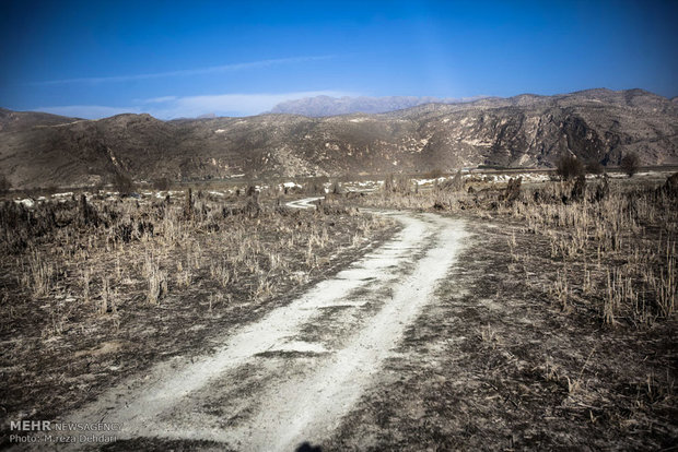 خشکسالی دریاچه پریشان