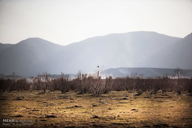 خشکسالی دریاچه پریشان