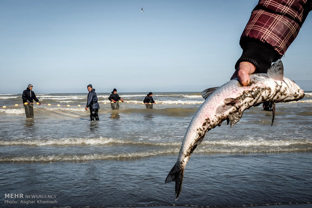 صید ماهی در سواحل دریای چابکسر
