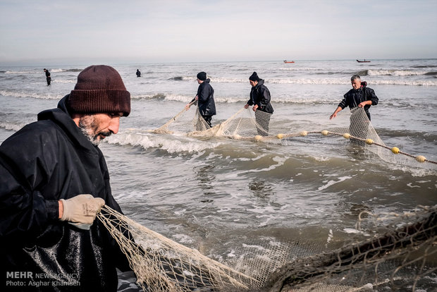 صید ماهی در سواحل دریای چابکسر