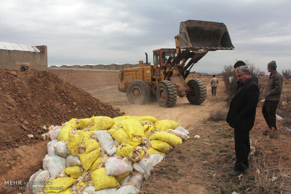 http://media.mehrnews.com/d/2015/02/08/4/785470.jpg?ts=1423415573294