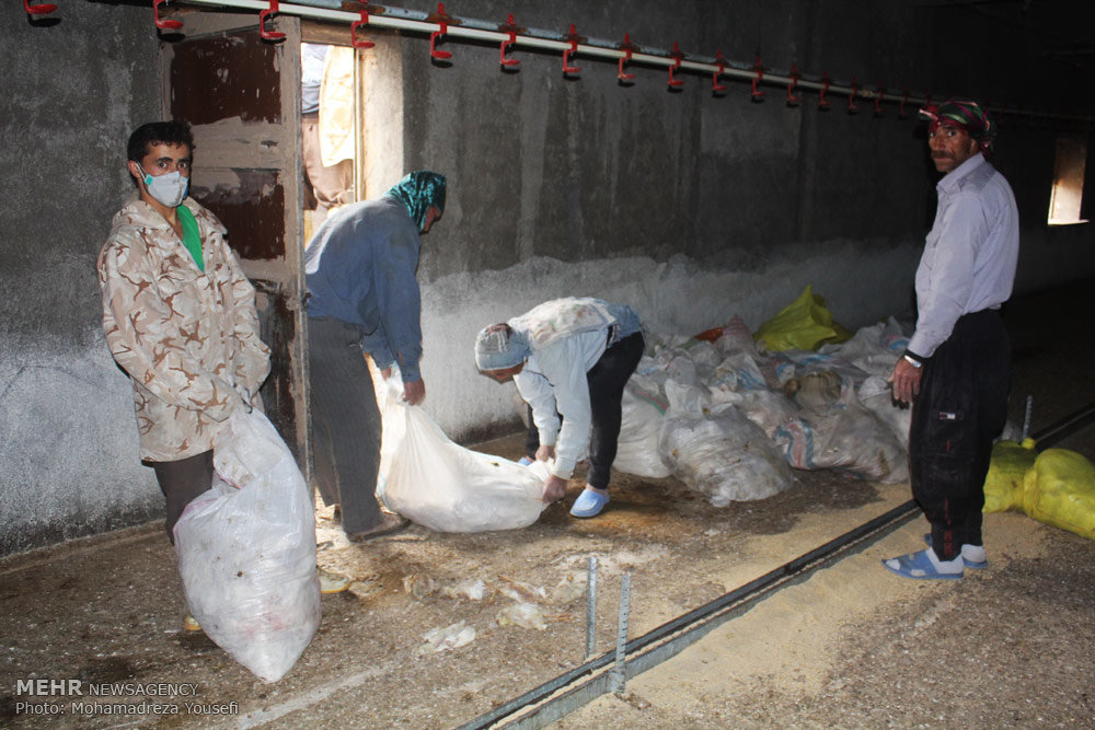 http://media.mehrnews.com/d/2015/02/08/4/785487.jpg?ts=1423415573294