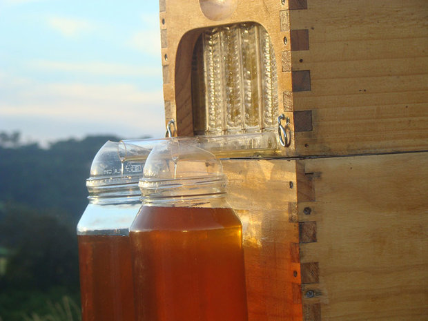 honey-on-tap-flow-hive-stuart-cedar-anderson-2.jpg