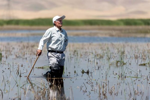 تالاب سیرانگلی