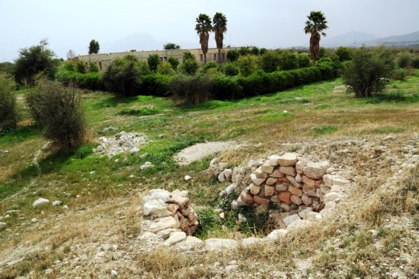 باغ پرتقال در شهر بیشاپور