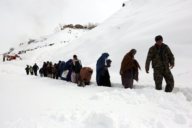 برگزیده