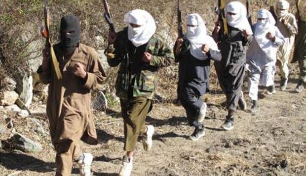 اقدامات طالبان برای آمادگی و هماهنگی بیشتر در مذاکرات صلح