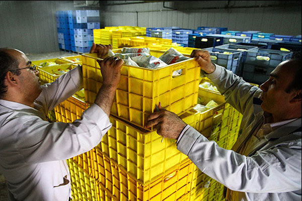 کارخانه شیر، لبنیات