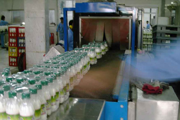 اردبیل تولیدکننده ۲.۶ درصد شیرخام کشور است