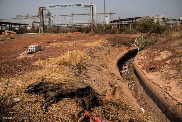 اخبار ضد و نقیض از تصرف میادین نفتی سودان جنوبی توسط شورشیان