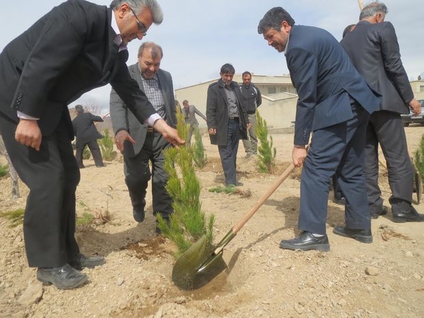 دامغان