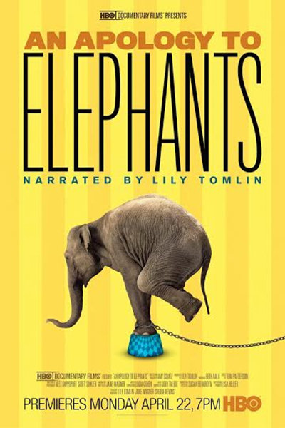 مستند یک عذر خواهی به فیل‌ها