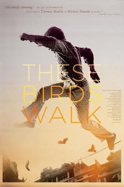 مستند پرنده‌ها راه می‌روند