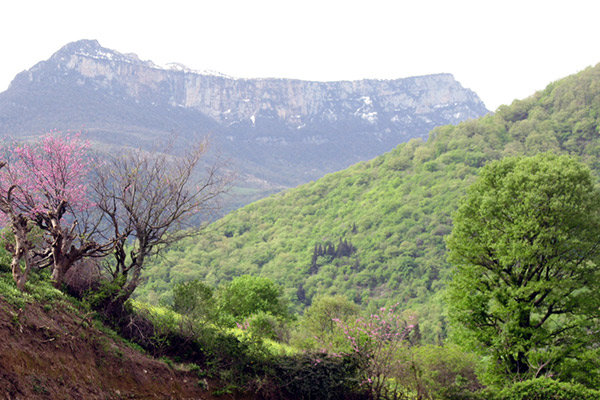 روستاهای گردشگری گلستان