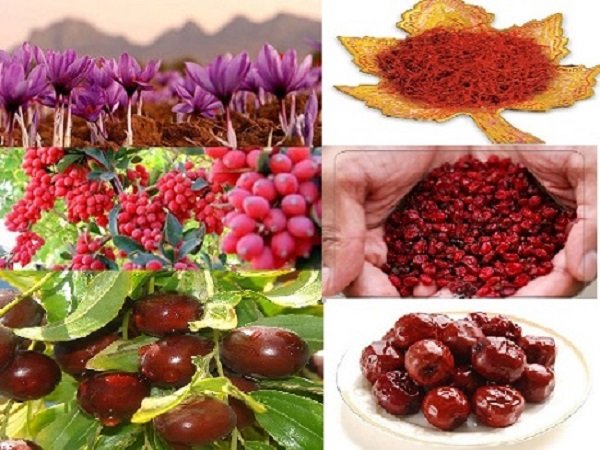 زرشک، زعفران و عناب خراسان جنوبی ثبت ملی می شود خراسان جنوبی