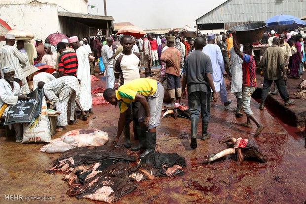 ۴ کشته در انفجار انتحاری نیجریه