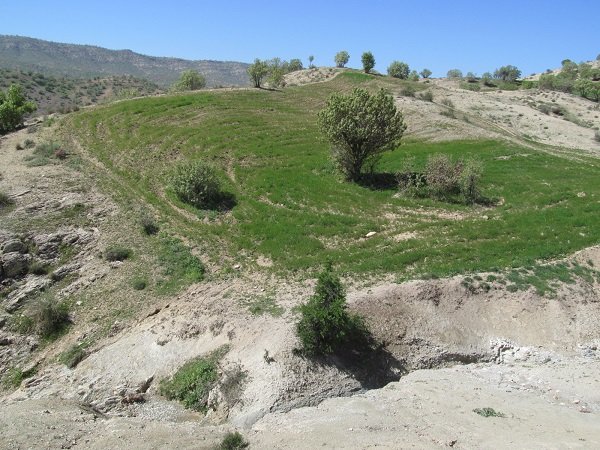 تعرض به منابع طبیعی - کوهدشت