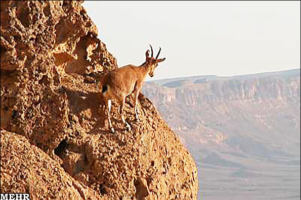 عکس از خبرگزاری مهر عکس از خبرگزاری مهر