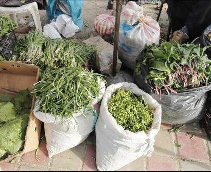 بازار گیاهان دارویی