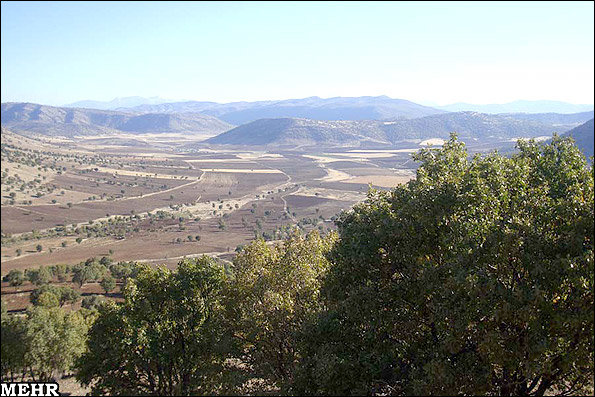 زغالهایی که روزگار زاگرس را سیاه کردند/ خاکستر بر تن جنگلها جنگلهای لرستان