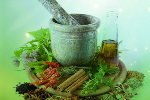 اپلیکیشن گیاهان دارویی