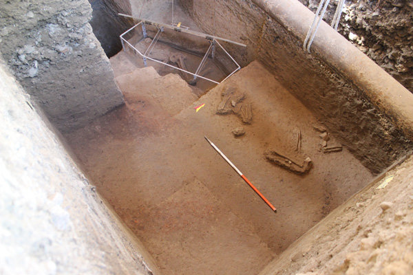 دومین اسکلت در کنار اسکلت زن ۷ هزارساله تهران کشف شد