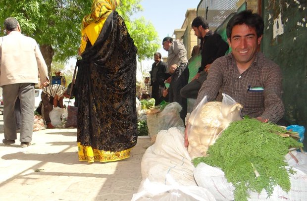بازار گیاهان کوهی یاسوج