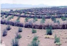 منابع طبیعی.jpg