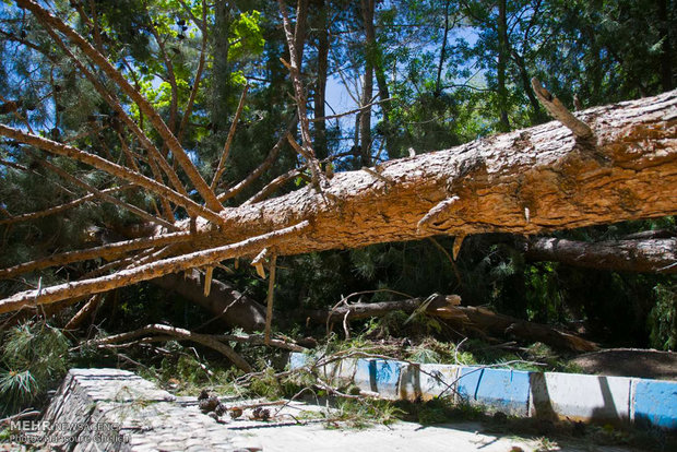 خسارات تند باد شدید در شرق استان سمنان
