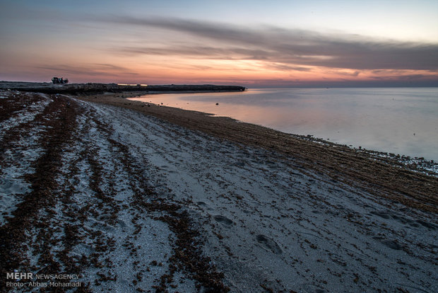 سواحل خلیج فارس