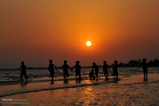 سواحل خلیج فارس