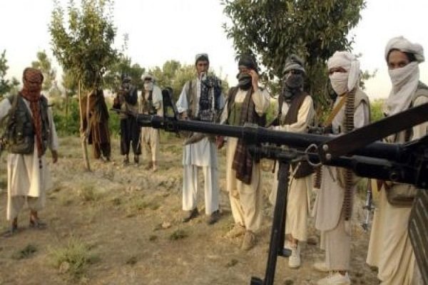عضو شورای عالی صلح افغانستان: طالبان آماده صلح مشروط است