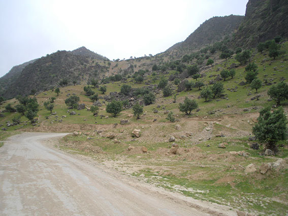 لردگان