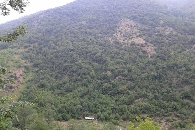 کراپشده - معدن در علی آباد کتول