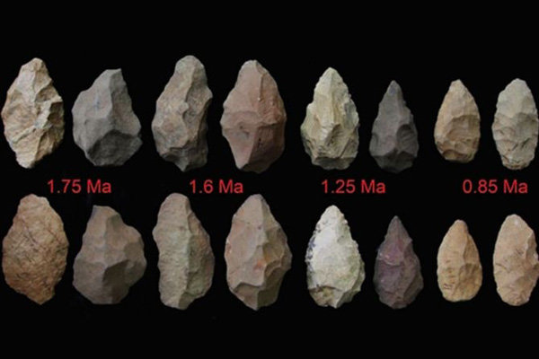 مجموعه ابزارهای سنگی با قدمتی بیش از سه میلیون سال کشف شد