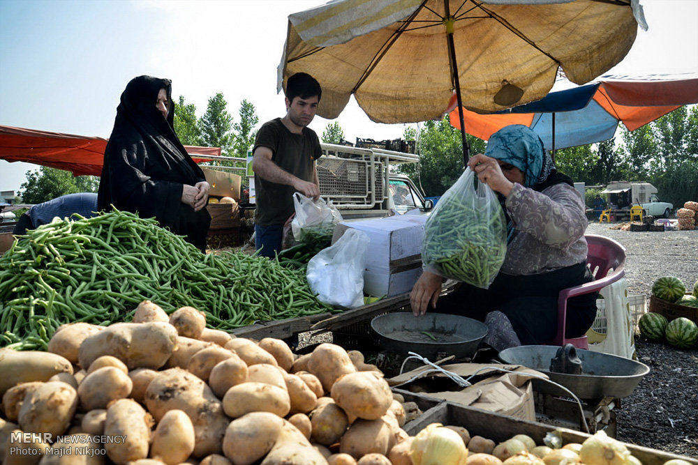 شمال نیوز :: جمعه بازار دابودشت آمل