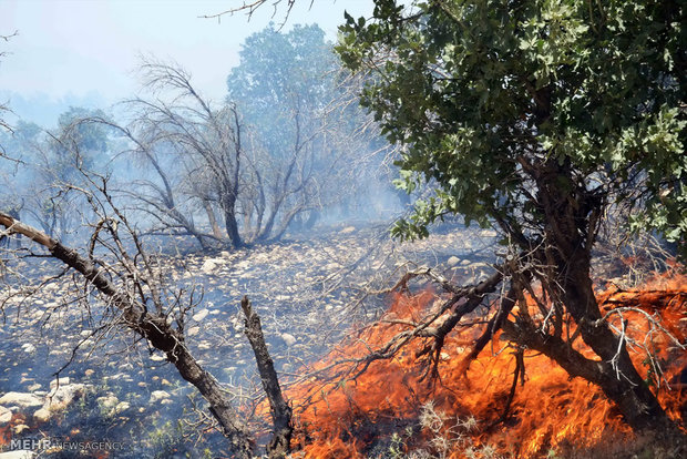آتش سوزی وسیع در جنگلهای زاگرس ایلام