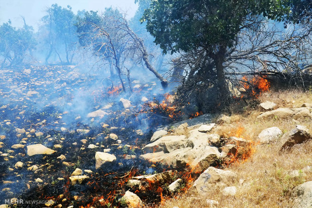 آتش سوزی وسیع در جنگلهای زاگرس ایلام