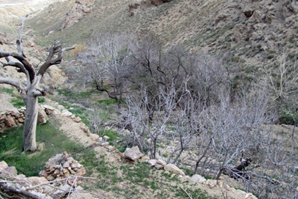 بیارجمند شاهرود - خشکسالی