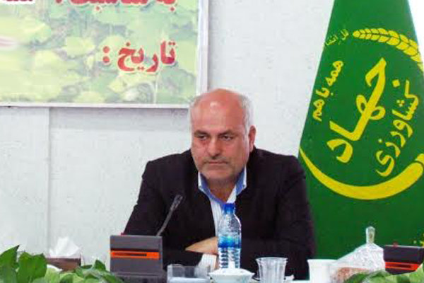 سید حسن میرعماد رئیس سازمان جهاد کشاورزی استان سمنان 