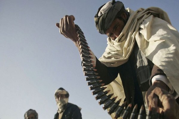 شورای عالی صلح افغانستان مذاکره دولت با طالبان را تکذیب کرد